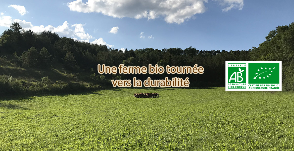 LA FERME DES CHARMES