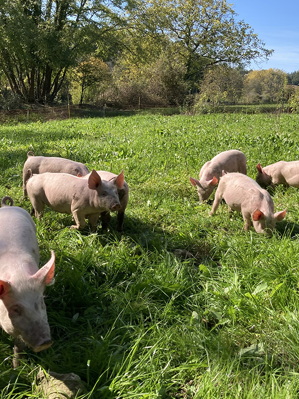 exploitation agricole dordogne