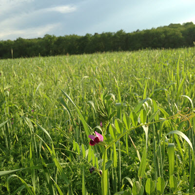 produit bio dordogne